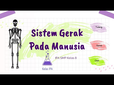 Sistem Gerak Manusia #IPA SMP Kelas 8 (Part1)