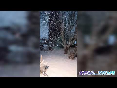 ⚠️❄️ Winter Storm Warning! ❄️⚠️ Washington State USA 2021