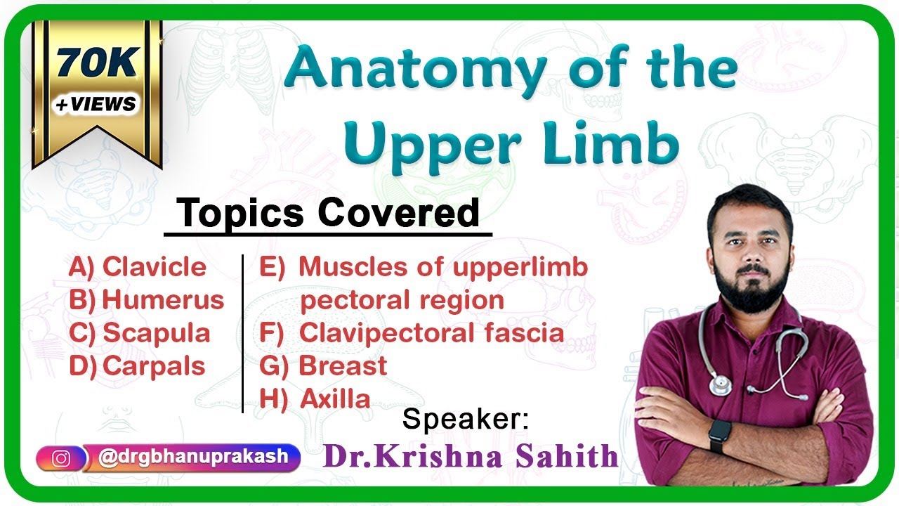 Anatomy of the Upper Limb ( Part - 1 ) : Fmge, Neet pg, NEXT and USMLE Step 1
