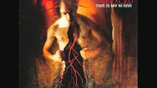 Soul Embraced - Angels With Raven Hearts