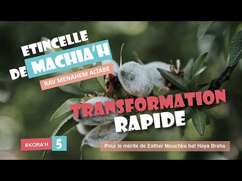 Transformation rapide