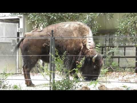 ダニエラ・カッツェンバーガー:「私の本当の故郷は依然としてプファルツです」