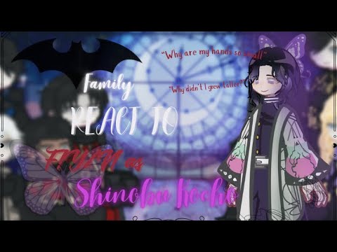 Bat Family react to F!Y/N as Shinobu Kocho | DC x KNY | AU | December Special Series 