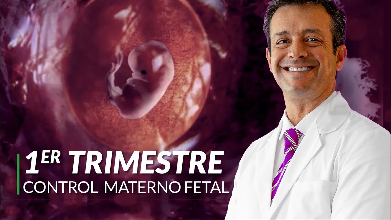 First trimester [Care tips for your pregnancy]