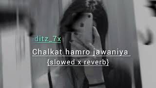 Download lagu CHALKAT'HAMRO JAWANIYA E RAJA....❤️🔥👀⚡😎🎸.      #trend #viral #bhojpuri #lofi #support #groth #edit  mp3 Download lagu CHALKAT'HAMRO JAWANIYA E RAJA....❤️🔥👀⚡😎🎸.      #trend #viral #bhojpuri #lofi #support #groth #edit  mp3