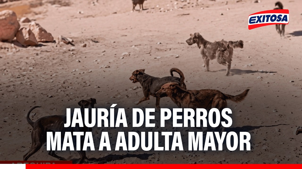 🔴🔵 Preocupación por aumento de casos de ataques de perros