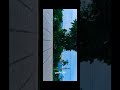 MAY I HAVE YOUR ATTENTION PLEASE 🫠 Train Travel Trending Ytshorts