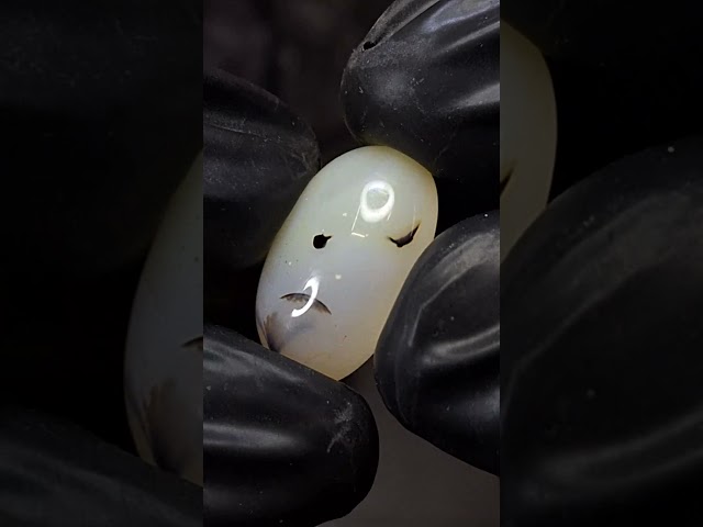 حجر عقيق شجري طبيعي