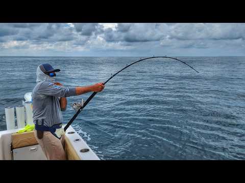 Colio Sportfishing: Offshore Marlin & Cow Tuna Strike | Golfito, Costa Rica