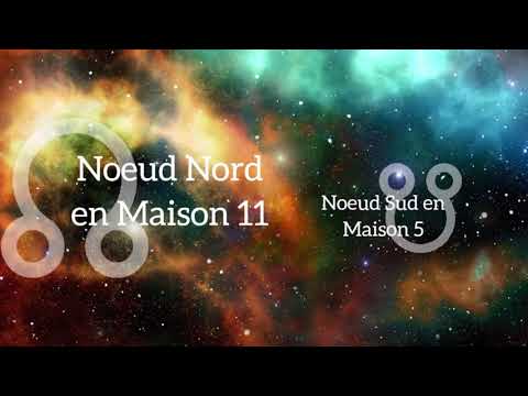 Noeud Nord en Maison 11 (et / ou en Verseau) || Astrologie