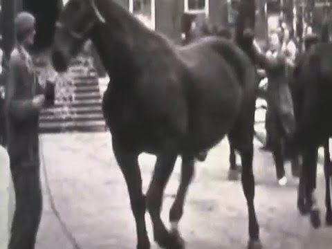 Historische Vereniging Ameide