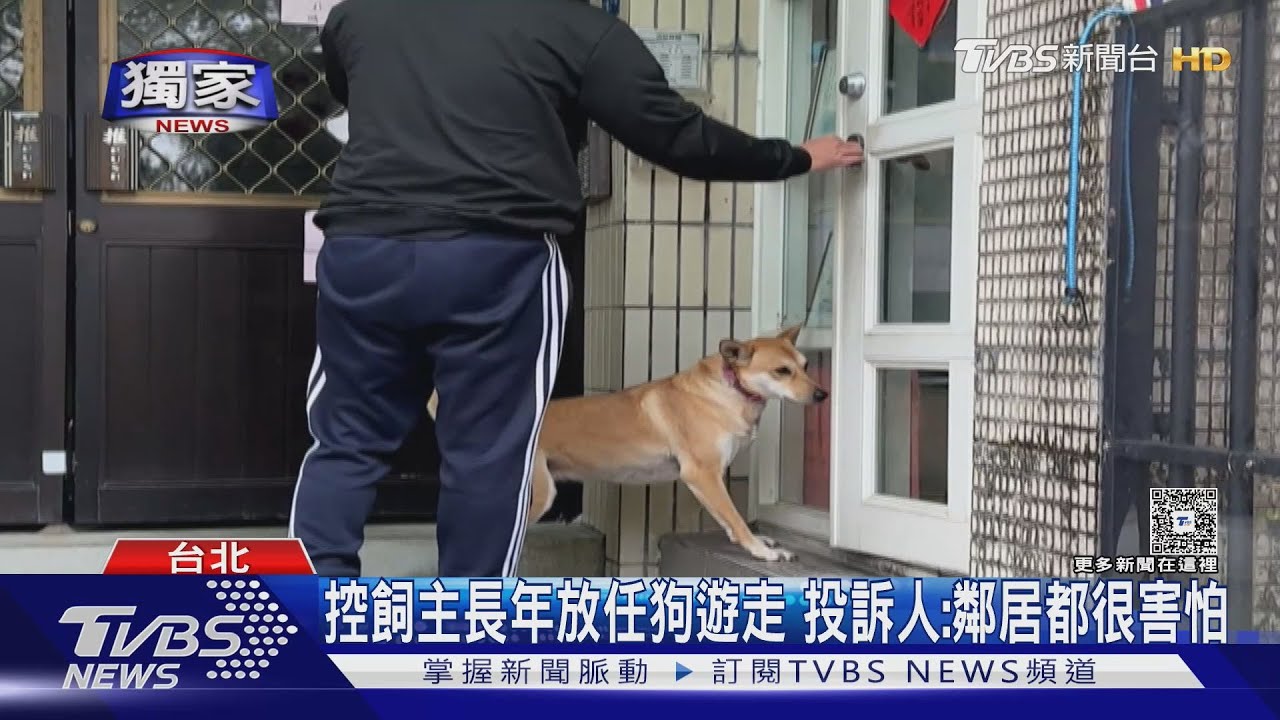 怕!養狗不繫繩頻傳咬人、咬狗「屢勸不聽」 飼主反嗆:閒到沒事做?