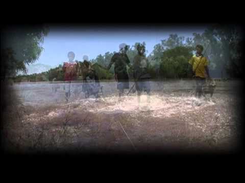 Pigeon Hole HD 720p Video Sharing