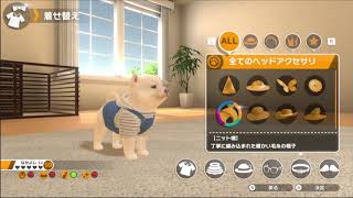 Little Friends: Dogs & Cats video 1