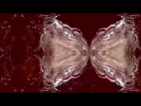 Chris Murphy - Blues for Bukowski (HD)