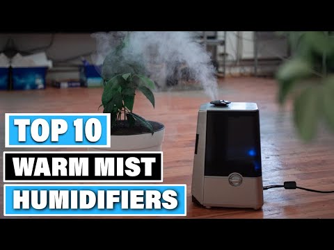 Best Warm Mist Humidifiers in 2025(Top 10 Picks)