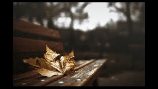 Elegi -  Lars Winnerbäck (lyrics)