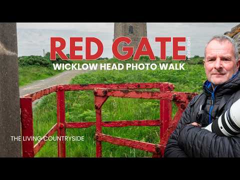 Wicklow Head photo walk where an old red swing gate proved the star of the show.