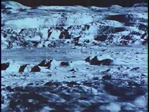 Assignment, Shoot the Moon