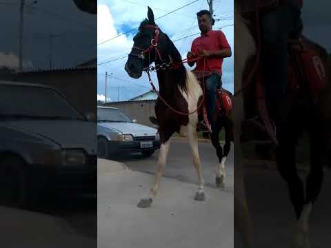 Rancho Estrela de Ouro video
