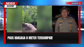 Heboh! Bangkai Diduga Paus Raksasa Terdampar Di Inhil