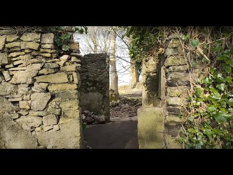 Progress clearing old farm outbuildings in Sligo country house | Ireland #diyrenovation​  #edthecat