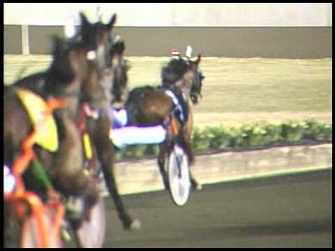 2012 Horse & Groom Final - Fountainbleau Volo & David Miller