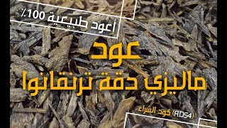 عود ماليزي دقه ترنقانو | عود ماليزيا طبيعي