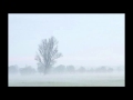 Boudewijn De Groot - Het geluid van stilte 
