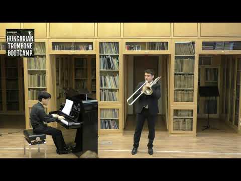 Stjepan Sulek - Sonata "vox Gabrieli"