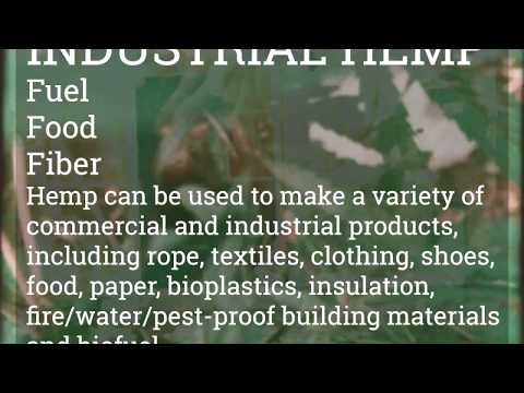 Particle Kid (Micah Nelson) "Pathway To Paris" Earth Day 50"