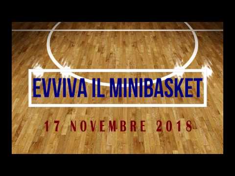 BASKET 4 TRIESTE AQUILOTTI 2009/2010: 1A GIORNATA EVVIVA IL MINIBASKET LIBERTAS-B4T