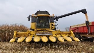 preview picture of video 'Loonwerk De Bruyne - New Holland CX880 - mais dorsen'