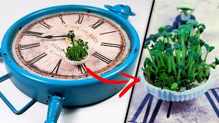 Can Plants Grow on a Moving Clock? - Time Lapse