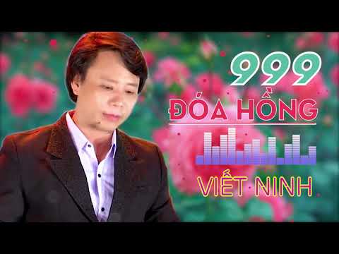 999 ĐÓA HỒNG | VIET NINH