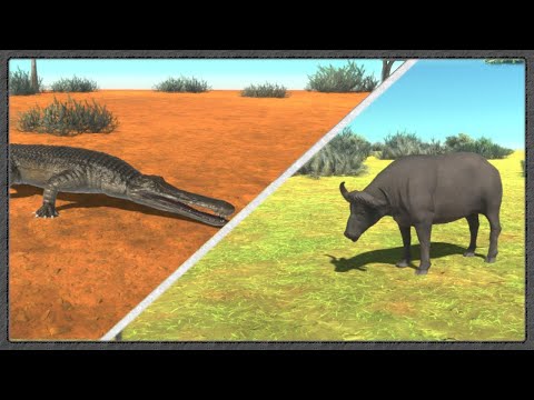 Cape Buffalo Vs. Machimosaurus (prehistoric crocodile)