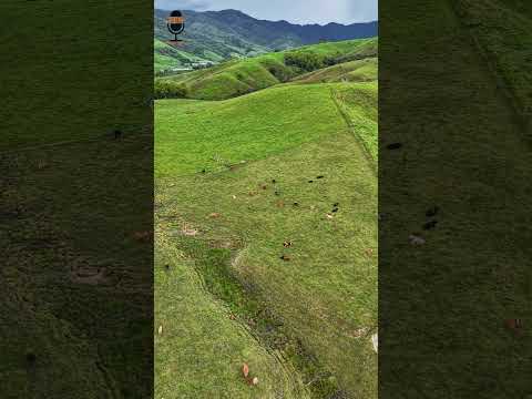 Frontino Antioquia mas paisajes