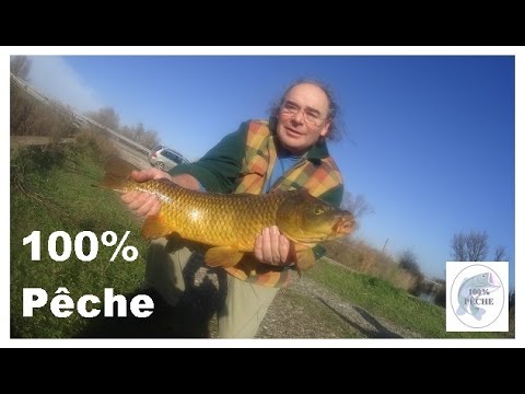 Carpe au pain (montage bouchon en détails et images des captures)