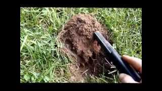 Metal Detecting Michigan Campsite With a Pinpointer