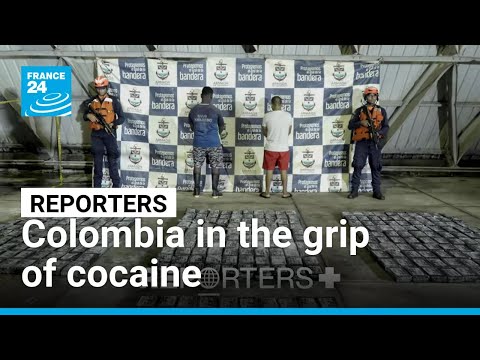 Colombia seeks to break endless cycle of cocaine production and trafficking • FRANCE 24 English