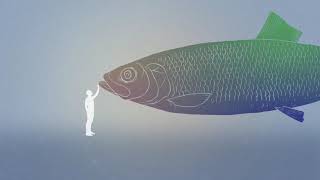 FUNKILLER - Self-Fulfilling Prophecies [OFFICIAL MUSIC VIDEO]