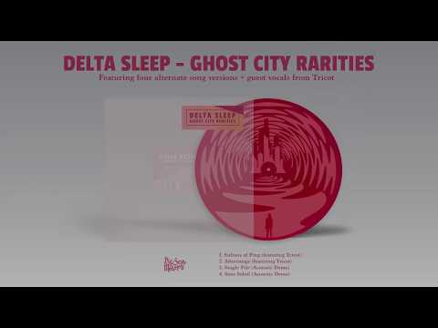 Sans Soleil - Delta Sleep