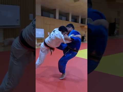 【柔道】内股フェイントからの大内刈