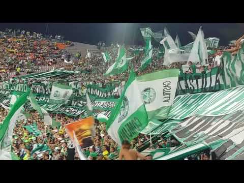 "LosDelSur | Atletico Nacional 4 - Delfin 0 Copa Libertadores 2018" Barra: Los del Sur • Club: Atlético Nacional • País: Colombia