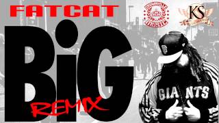 Fatcat - "BiG" (Remix)