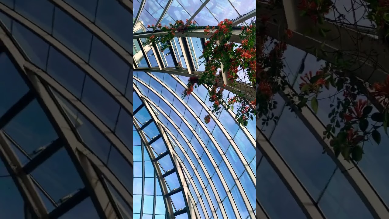 YouTube Short thumbnail