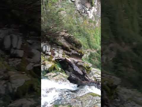 #cascada #cascadainacayal #villalaangostura #neuquen #patagoniaargentina #patagonia
