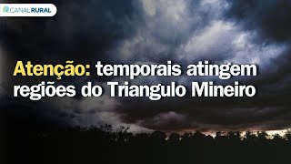Warning: Storms hit regions of the Triângulo Mineiro | Weather forecast | 24h