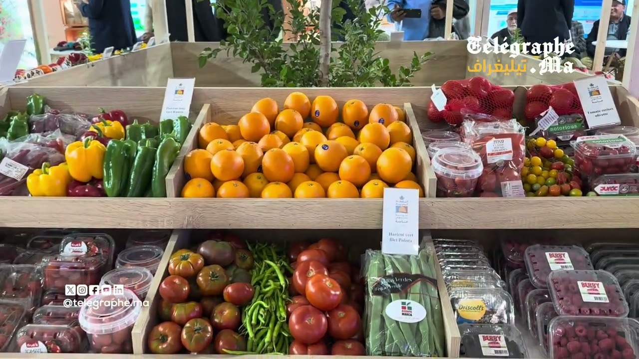 بالفيديو.. مشاركة جهة سوس ماسة في الملتقى الدولي للفلاحة بمكناس في دورته 17