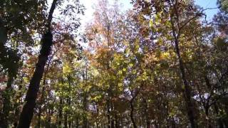 preview picture of video 'Hike Our Planet: A Windy Day At Lake Catherine State Park AR'